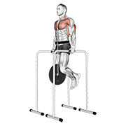 weighted triceps dip on high parallel bars exercise demonstration