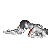 bodyweight kneeling triceps extension exercise demonstration