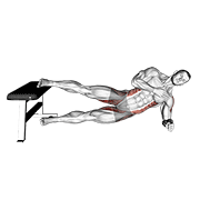 side plank hip adduction exercise demonstration