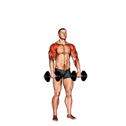 dumbbell cuban press v. 2 exercise demonstration