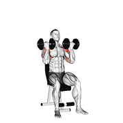 dumbbell arnold press exercise demonstration