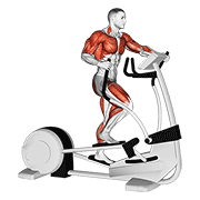 walk elliptical cross trainer dimostrazione dell’esercizio