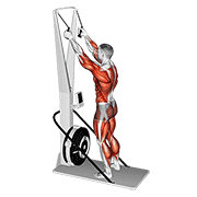 ski ergometer dimostrazione dell’esercizio