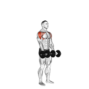 dumbbell standing around world exercise demonstration