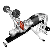 ez barbell decline triceps extension 动作演示