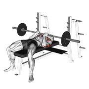 barbell reverse close-grip bench press dimostrazione dell’esercizio