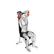 dumbbell seated triceps extension exercise demonstration