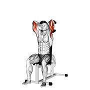 dumbbells seated triceps extension 动作演示