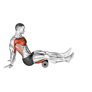 roller seated shoulder flexor depresor retractor 动作演示