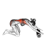 roller back stretch exercise demonstration