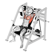 lever pullover exercise demonstration