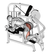 lever hip extension v. 2 egzersiz gösterimi