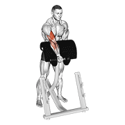 dumbbell standing zottman preacher curl dimostrazione dell’esercizio