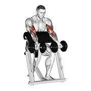 dumbbell zottman preacher curl dimostrazione dell’esercizio