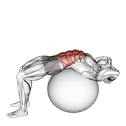 stability ball crunch (full range hands behind head) dimostrazione dell’esercizio