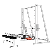 inverted row on bench exercise demonstration