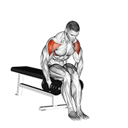 dumbbell seated bent arm lateral raise exercise demonstration