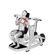 lever shoulder press v. 3 exercise demonstration