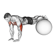 narrow push-up on exercise ball exercise demonstration