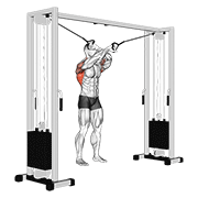 cable lat pulldown full range of motion dimostrazione dell’esercizio
