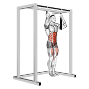 arm slingers hanging straight legs dimostrazione dell’esercizio