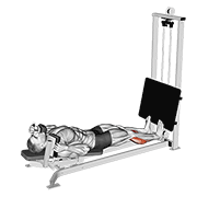 sled lying calf press dimostrazione dell’esercizio