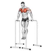 wide-grip chest dip on high parallel bars 动作演示