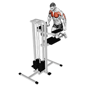 assisted wide-grip chest dip (kneeling) exercise demonstration