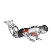 close-grip push-up (on knees) 动作演示