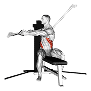 cable seated twist exercise demonstration