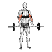 ez-bar biceps curl (with arm blaster) dimostrazione dell’esercizio