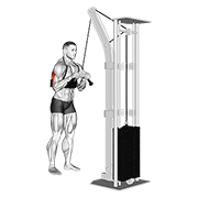 cable triceps pushdown (v-bar) (with arm blaster) exercise demonstration