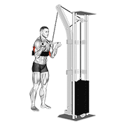 cable reverse grip triceps pushdown (sz-bar) (with arm blaster) egzersiz gösterimi