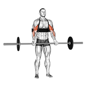 barbell biceps curl (with arm blaster) exercise demonstration