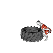 tire flip dimostrazione dell’esercizio