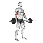 ez-barbell standing wide grip biceps curl dimostrazione dell’esercizio