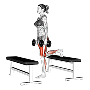 dumbbell step-up lunge exercise demonstration