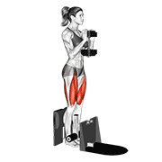 dumbbell supported squat egzersiz gösterimi
