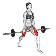 barbell split squat v. 2 dimostrazione dell’esercizio