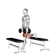 dumbbell step-up split squat egzersiz gösterimi