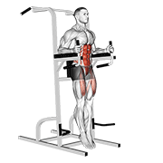 captains chair straight leg raise exercise demonstration