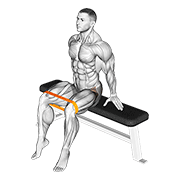 resistance band seated hip abduction 动作演示