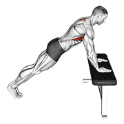 incline scapula push up egzersiz gösterimi