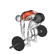 barbell pendlay row dimostrazione dell’esercizio