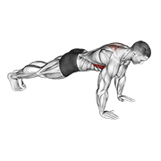 scapula push-up exercise demonstration
