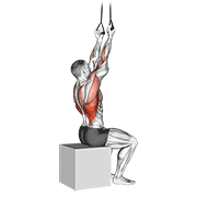 band fixed back underhand pulldown dimostrazione dell’esercizio