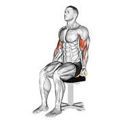 resistance band seated biceps curl dimostrazione dell’esercizio