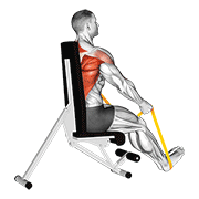 resistance band seated straight back row dimostrazione dell’esercizio