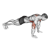 push-up plus dimostrazione dell’esercizio