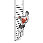 bodyweight standing close-grip one arm row dimostrazione dell’esercizio